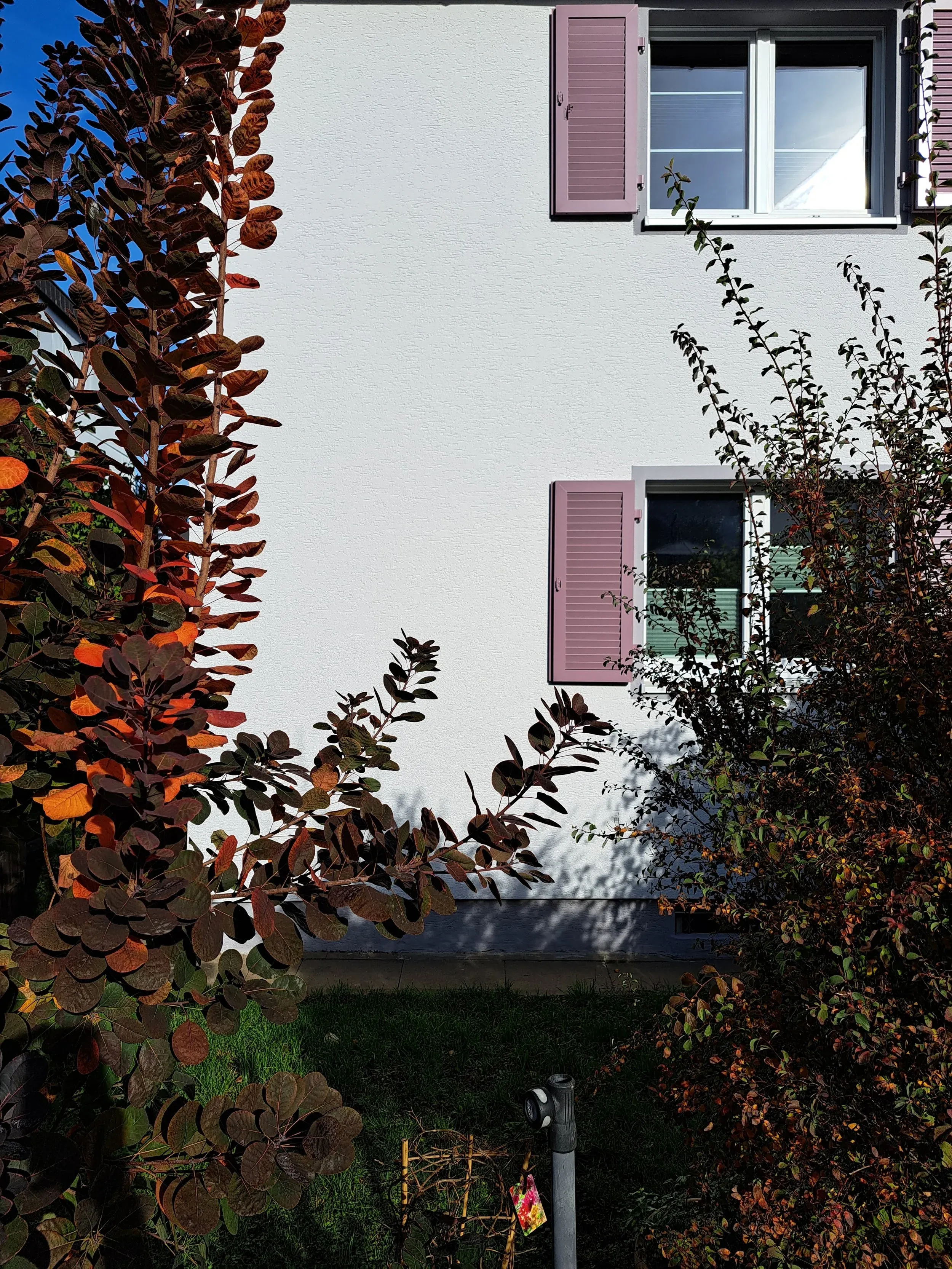 Stuckjunge